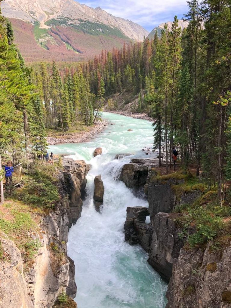 Exploring Sunwapta Falls, Jasper National Park - deventuretime